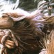 photo du film Dark Crystal