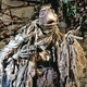 photo du film Dark Crystal