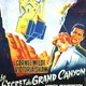 photo du film Le Secret du Grand Canyon