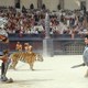 photo du film Gladiator