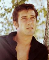 Robert Fuller