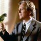 photo du film Paulie, le perroquet qui parlait trop