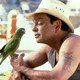 photo du film Paulie, le perroquet qui parlait trop