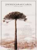 voir la fiche complète du film : [Pewen] Araucaria