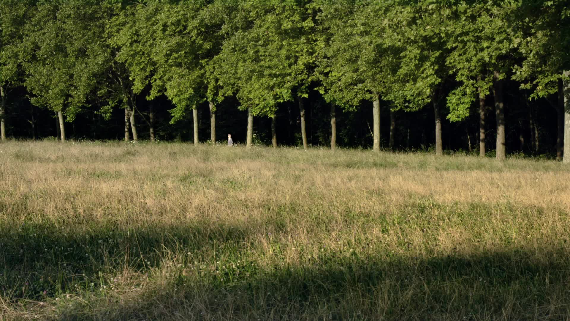 Extrait vidéo du film  Le Bois dont les rêves sont faits