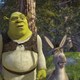 photo du film Shrek 2