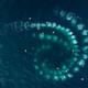 photo du film Les Gardiennes de la planète