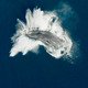 photo du film Les Gardiennes de la planète