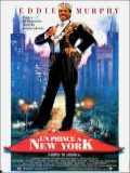voir la fiche complète du film : Un prince à New York