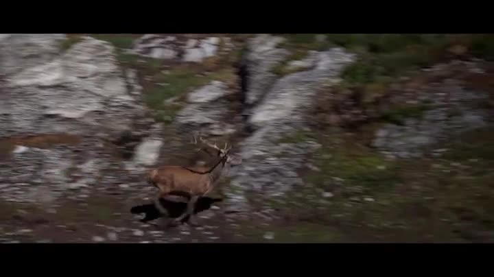 Extrait vidéo du film  Voyage au bout de l enfer