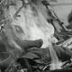 photo du film Procès de Jeanne d'Arc