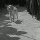 photo du film Procès de Jeanne d'Arc
