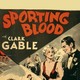 photo du film Sporting blood