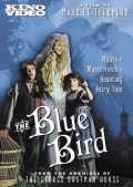 L Oiseau bleu