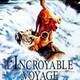 photo du film L'Incroyable Voyage