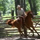 photo du film L'Homme qui murmurait a l'oreille des chevaux