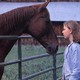 photo du film L'Homme qui murmurait a l'oreille des chevaux