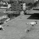 photo du film Vierge violée cherche étudiant révolté