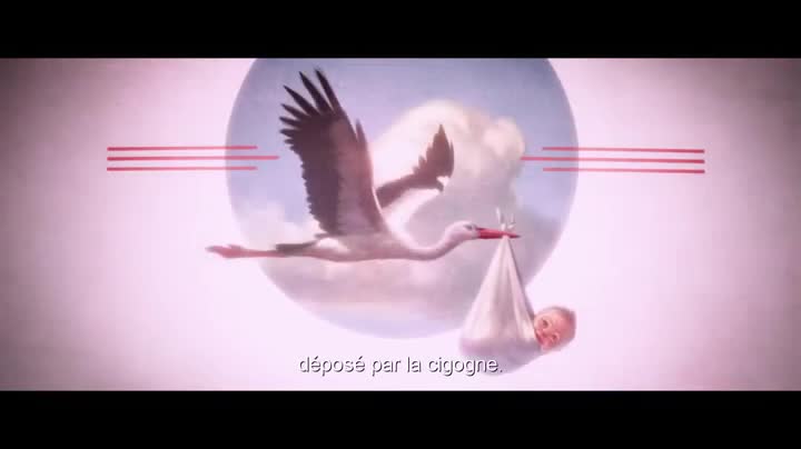 Extrait vidéo du film  Cigognes & Compagnie