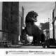 photo du film Le Monstre des temps perdus