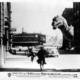 photo du film Le Monstre des temps perdus