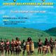 photo du film Stomp : odyssée des rythmes du monde