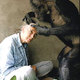 photo du film Jane Goodall et ses chimpanzés