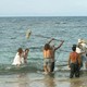 photo du film Les Aventuriers des mers du sud