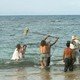 photo du film Les Aventuriers des mers du sud