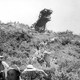 photo du film Godzilla