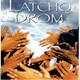 photo du film Latcho Drom