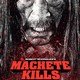 photo du film Machete Kills