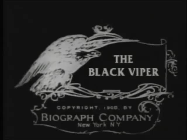Extrait vidéo du film  La Vipère noire
