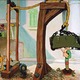 photo du film Popeye, Aladin et sa lampe merveilleuse