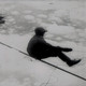 photo du film Rencontres au bout du monde