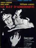 Le Rat d Amérique