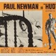 photo du film Le plus sauvage d'entre tous