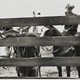 photo du film Le plus sauvage d'entre tous