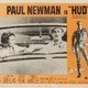 photo du film Le plus sauvage d'entre tous