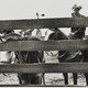 photo du film Le plus sauvage d'entre tous
