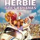 photo du film La Coccinelle à Mexico