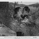 photo du film La Fille de Dracula
