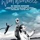 photo du film Rétrospective Wim Wenders en 6 films