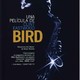 photo du film Bird