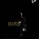 photo du film Bird