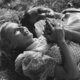 photo du film Les amants passionnés