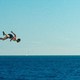 photo du film Le Grand saut