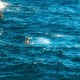 photo du film Le Grand saut