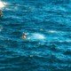 photo du film Le Grand saut