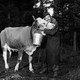 photo du film La Vache et le prisonnier